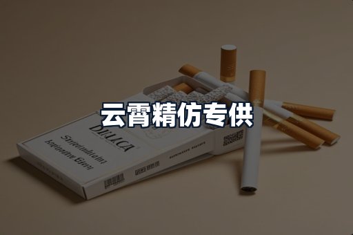 云霄精仿专供